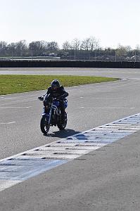 debutant (25)